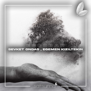 成人羞羞视频🔞免费河北视频
